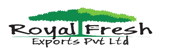 logo_final-removebg-preview